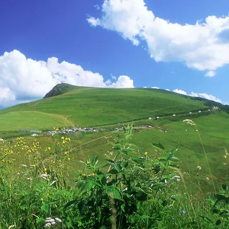 Beautiful Near *